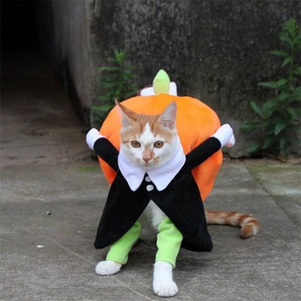 funny cosplay pet dog costume pumpkin suit halloween clothes for dogs party dressing up dog clothing cat apparel disfraz perro
funny cosplay pet dog costume pumpkin suit halloween clothes for dogs party dressing up dog clothing cat apparel disfraz perro