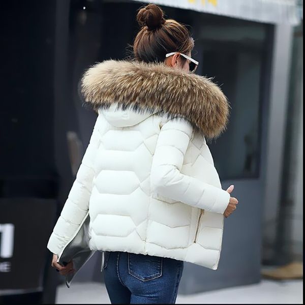 ceodogg winter fur hooded jacket women 2018 winter warm down jacket women short style slim large size coat, Black
ceodogg winter fur hooded jacket women 2018 winter warm down jacket women short style slim large size coat, Black