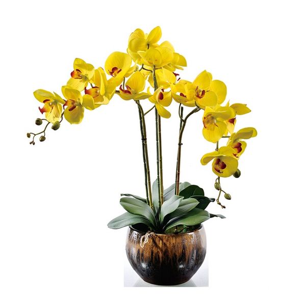 indigo diy flower arrangment yellow orchids (1 set) real touch flower wedding party fake decorative event ing
indigo diy flower arrangment yellow orchids (1 set) real touch flower wedding party fake decorative event ing