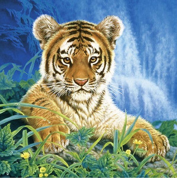 Full Square/Round Drill 5D DIY Diamond Painting kits "tiger" cross stitch Mosaic Home Decor crafts Art Experience toys Gift A0851
Full Square/Round Drill 5D DIY Diamond Painting kits "tiger" cross stitch Mosaic Home Decor crafts Art Experience toys Gift A0851