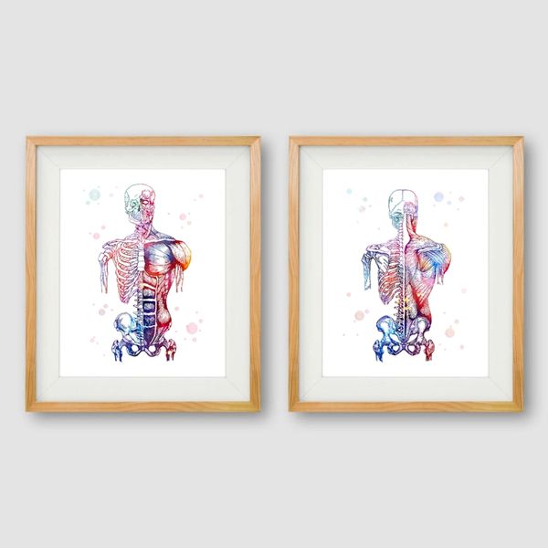 human muscles canvas art print and poster watercolor muscular system skeleton anatomy painting body art medical print wall decor
human muscles canvas art print and poster watercolor muscular system skeleton anatomy painting body art medical print wall decor