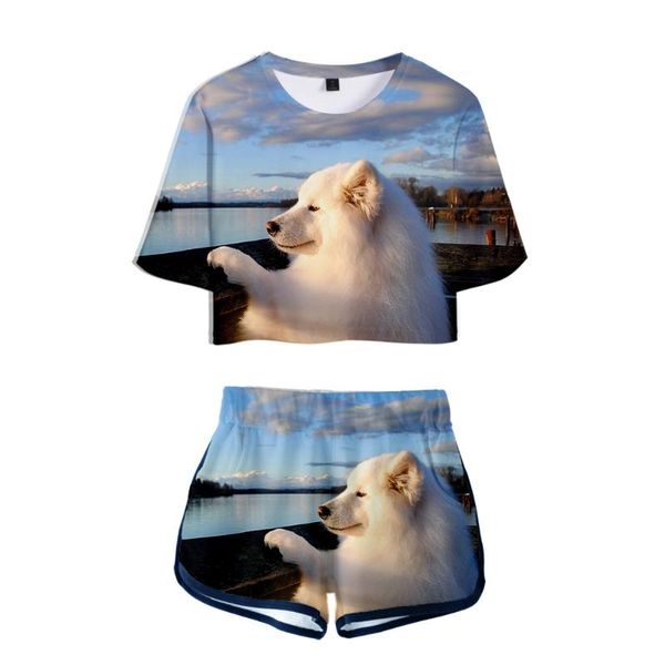 2019 samoyed printed women two piece set new design oversize navel short sleeve and short pants o-neck summer set, White
2019 samoyed printed women two piece set new design oversize navel short sleeve and short pants o-neck summer set, White