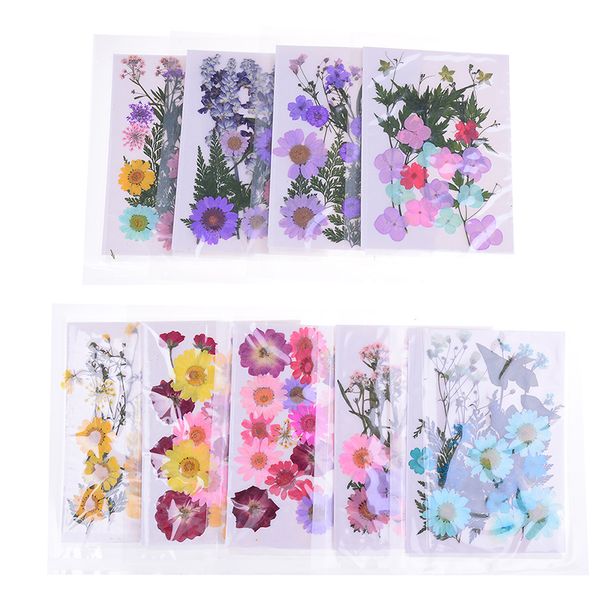 jewelry craft making art craft multiple beautiful real pressed flower dried flowers for scrapbooking resin phone case
jewelry craft making art craft multiple beautiful real pressed flower dried flowers for scrapbooking resin phone case