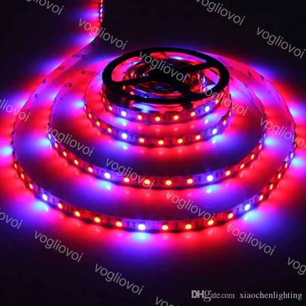 led strip lights full spectrum grow lights 5m/roll 300 leds 5050 chip indoor greenhouse hydroponic plant
led strip lights full spectrum grow lights 5m/roll 300 leds 5050 chip indoor greenhouse hydroponic plant