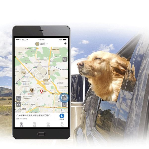 newly pet gps locator smart anti-lost lbs positioning device for dog cats mk pet supplies home garden
newly pet gps locator smart anti-lost lbs positioning device for dog cats mk pet supplies home garden