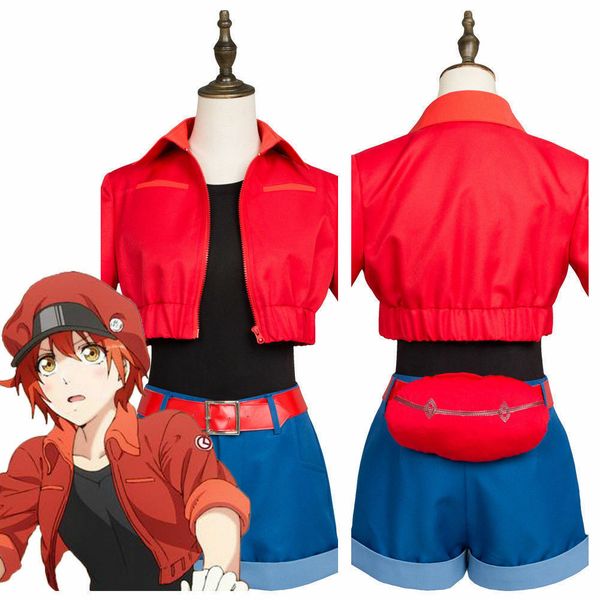 аниме cells на работе! erythrocite эритроцитов косплей костюм костюм uniform, Black;red
аниме cells на работе! erythrocite эритроцитов косплей костюм костюм uniform, Black;red