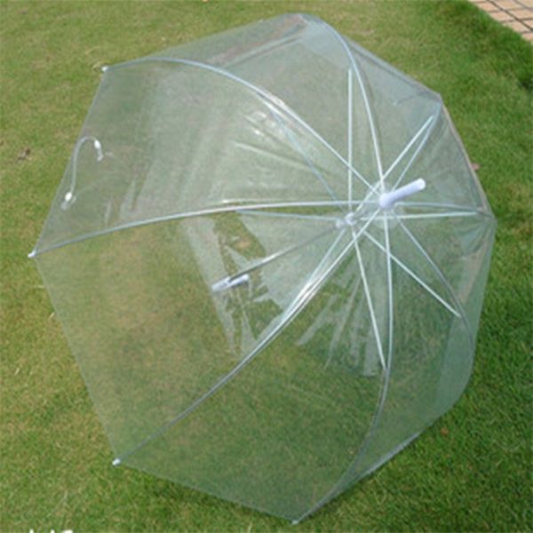 mushroom shape umbrella transparent straight shank umbrellas men and women plastic ultraviolet proof bardian factory direct sales 9zw c1
mushroom shape umbrella transparent straight shank umbrellas men and women plastic ultraviolet proof bardian factory direct sales 9zw c1