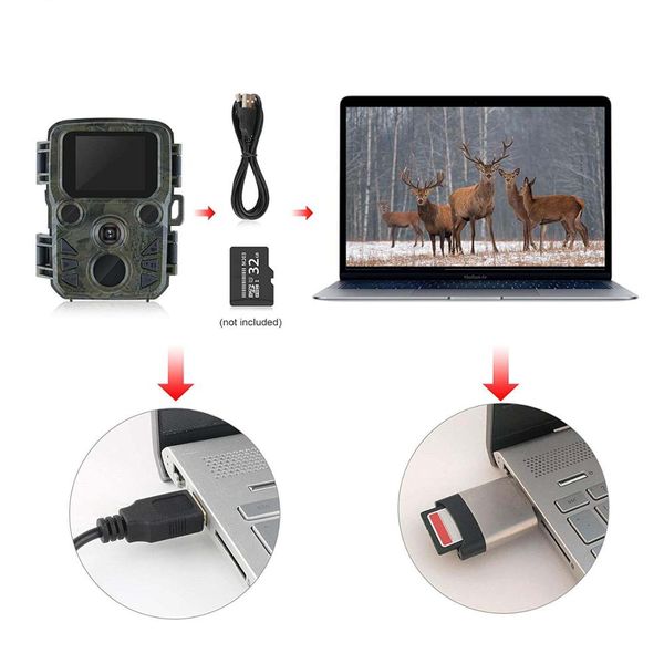 p-trap thermal imagers for hunting scout mini camera chasse 12mp 1080p night vision wildcats hunting camera trap with lcd
p-trap thermal imagers for hunting scout mini camera chasse 12mp 1080p night vision wildcats hunting camera trap with lcd