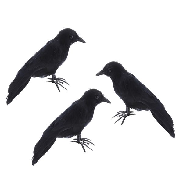 3 шт искусственного crow перо животных черного поддельной птица таксидермия сад праздники декор displays орнамент
3 шт искусственного crow перо животных черного поддельной птица таксидермия сад праздники декор displays орнамент