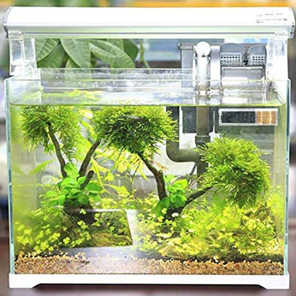 fish tank thermometer aquarium water temperature monitor submersible waterproof digital lcd thermometer sensor
fish tank thermometer aquarium water temperature monitor submersible waterproof digital lcd thermometer sensor