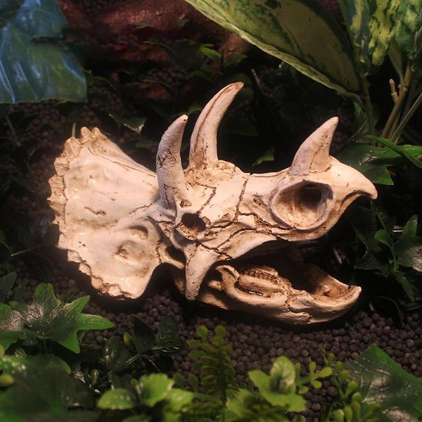 reptile evasion house dinosaur skull reptile landscaping ornaments simulated dinosaur egg fossil aquarium fish tank decoration
reptile evasion house dinosaur skull reptile landscaping ornaments simulated dinosaur egg fossil aquarium fish tank decoration