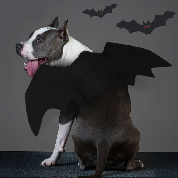 dog bat costume - christmas halloween pet costume bat wings cosplay dog costumes pet costume for party
dog bat costume - christmas halloween pet costume bat wings cosplay dog costumes pet costume for party