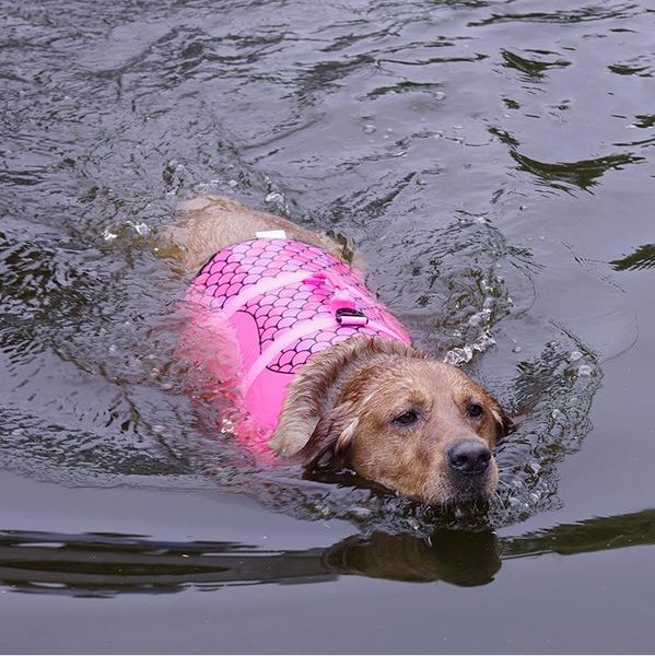 2020 pet life jacket shark mermaid dog swimming suit small with large dog swimming suit