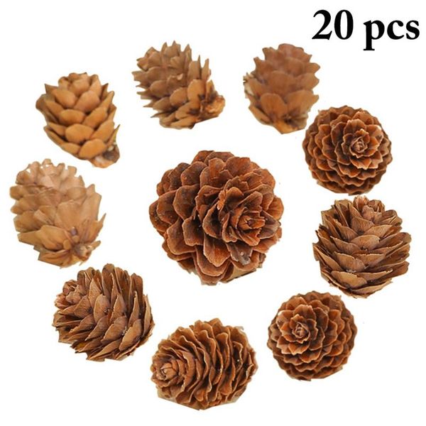 20pcs wooden 3d vivid pine cones ornaments natural pinecone christmas tree hanging diy party xmas decorations for home decors
20pcs wooden 3d vivid pine cones ornaments natural pinecone christmas tree hanging diy party xmas decorations for home decors