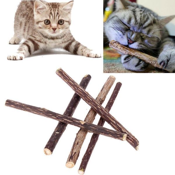 5pcs 12cm cat cleaning teeth natural catnip pet cat molar toothpaste stick silvervine actinidia fruit matatabi cat snacks sticks
5pcs 12cm cat cleaning teeth natural catnip pet cat molar toothpaste stick silvervine actinidia fruit matatabi cat snacks sticks