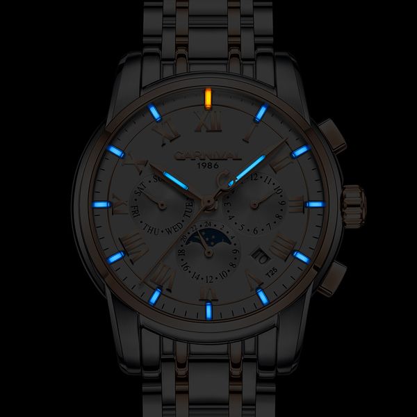 t25 tritium gas luminous automatic clock carnival men watches sapphire moon phase mechanical wristwatches relogio masculino 2017, Slivery;brown
t25 tritium gas luminous automatic clock carnival men watches sapphire moon phase mechanical wristwatches relogio masculino 2017, Slivery;brown