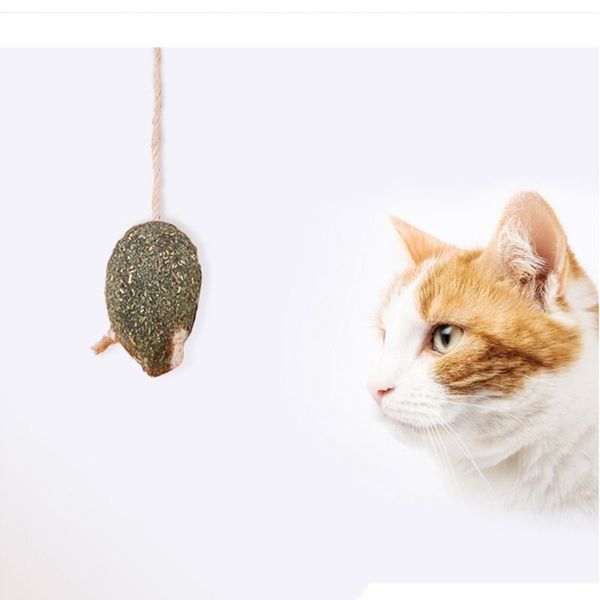 mice shape cat catnip snack toy hanging furry kitten funny playing row of hair balls interactive pet catnip toys other cat supplies
mice shape cat catnip snack toy hanging furry kitten funny playing row of hair balls interactive pet catnip toys other cat supplies