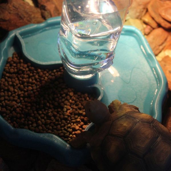 reptile feeder 2 in 1 automatic water food feeding plate lizard turtle dispenser 85wc
reptile feeder 2 in 1 automatic water food feeding plate lizard turtle dispenser 85wc