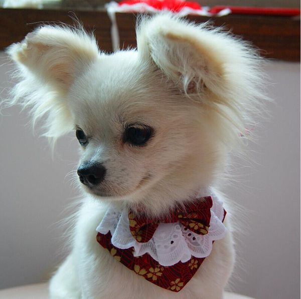 design japanese style handmade dog lace bow bib with cute bow tie pet dog scarf for puppies medium dogs pet accessories
design japanese style handmade dog lace bow bib with cute bow tie pet dog scarf for puppies medium dogs pet accessories