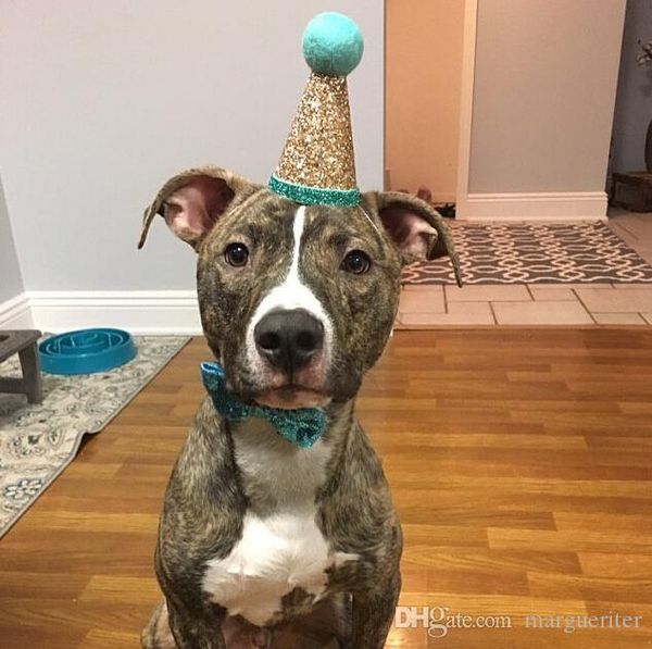 pet party hat pet crown & bow tie dog birthday hat party outfit puppies headwear accessories for dog cat costume
pet party hat pet crown & bow tie dog birthday hat party outfit puppies headwear accessories for dog cat costume
