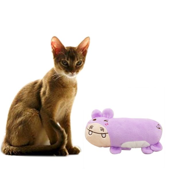 pet squeak toys dog puppy chew toy squeaky plush sound cute squeaking toys puppies squeaker
pet squeak toys dog puppy chew toy squeaky plush sound cute squeaking toys puppies squeaker