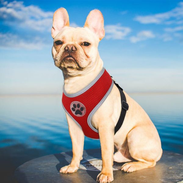 breathable nylon cat harness reflective dog pet harness for small medium dogs pet puppy harnesses for chihuahua yorkshire
breathable nylon cat harness reflective dog pet harness for small medium dogs pet puppy harnesses for chihuahua yorkshire