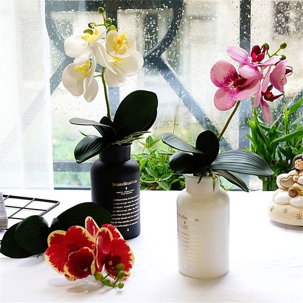 small tree with leaf 4 phalaenopsis artificial flower artificial flower home l shopping mall decoration pgraphy wedding
small tree with leaf 4 phalaenopsis artificial flower artificial flower home l shopping mall decoration pgraphy wedding