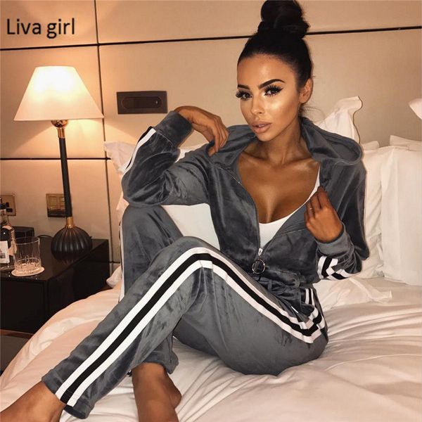 velvet tracksuit women two piece set zipper hoodies long sleeve o neck spring clothing sets women casual pink sweat suits, Gray
velvet tracksuit women two piece set zipper hoodies long sleeve o neck spring clothing sets women casual pink sweat suits, Gray
