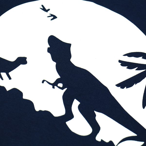 kids clothing sets children's dinosaur sleepwear baby boys pajama sets luminous printed pyjamas girls glow in the dark pijamas, Blue;red
kids clothing sets children's dinosaur sleepwear baby boys pajama sets luminous printed pyjamas girls glow in the dark pijamas, Blue;red