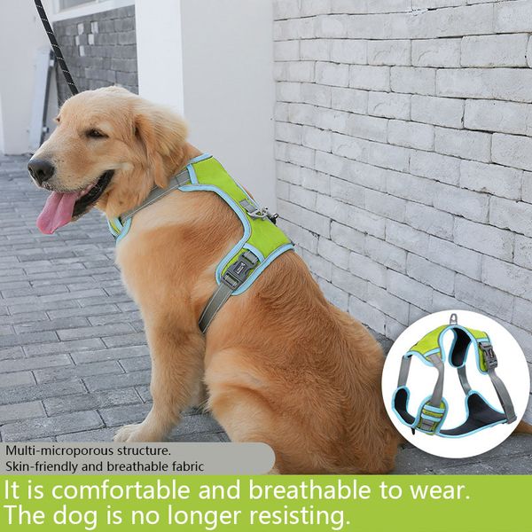 собака нагрудного светоотражающего жилета ремень типа животное тягового канат ходьба собака веревка взрывчатого продукт любимчика 
собака нагрудного светоотражающего жилета ремень типа животное тягового канат ходьба собака веревка взрывчатого продукт любимчика