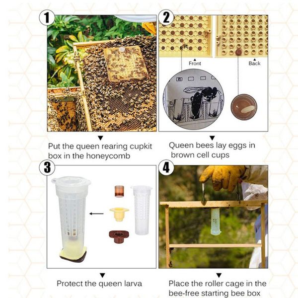 beekeeping industry queen rearing plastic box honeycomb bee hive queen breeding isolation beekeeping equipment
beekeeping industry queen rearing plastic box honeycomb bee hive queen breeding isolation beekeeping equipment