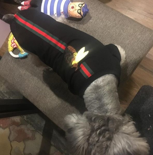 Бренд Дизайн Собаки Толстовки Pet Повседневная Одежда Симпатичные Тедди Щенок Шна
Бренд Дизайн Собаки Толстовки Pet Повседневная Одежда Симпатичные Тедди Щенок Шна