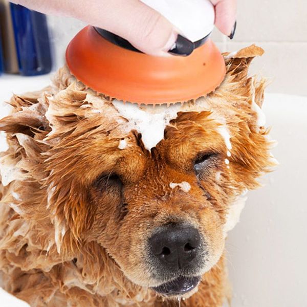 pets sprayer shower dog bath massage bathing tool cat shower brush head