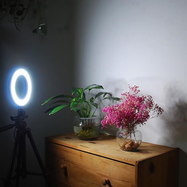led ring light for camera & phones, 8 inches deskmakeup o-ring light dimmable for pgraphy lighting, smartphone, studio
led ring light for camera & phones, 8 inches deskmakeup o-ring light dimmable for pgraphy lighting, smartphone, studio