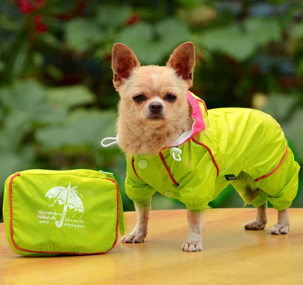 small pet dog hoody jacket rain coat waterproof clothes slicker jumpsuit apparel dog clothes for small dogs raincoats girl boy
small pet dog hoody jacket rain coat waterproof clothes slicker jumpsuit apparel dog clothes for small dogs raincoats girl boy