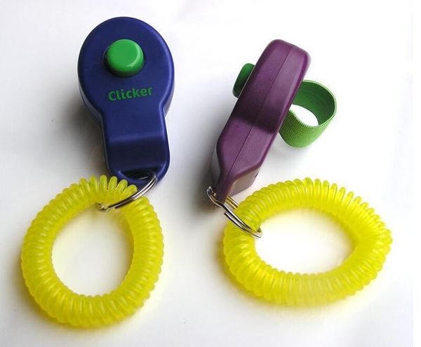 2019 pet trainer pet dog training dog clicker adjustable sound doggy train click key ring and wrist strap pet training tool quality
2019 pet trainer pet dog training dog clicker adjustable sound doggy train click key ring and wrist strap pet training tool quality