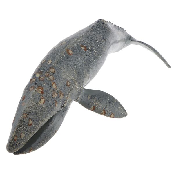 realistic wildlife jungle sea animal model action figures playset kids nature learning toy figurines - humpback whale
realistic wildlife jungle sea animal model action figures playset kids nature learning toy figurines - humpback whale