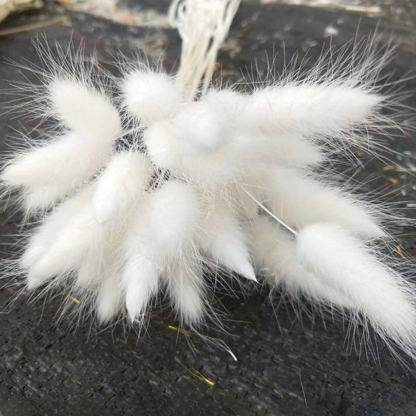 30pcs bouquet party home decor ornament tail grass wedding dried flower gift natural eco friendly p props florist
30pcs bouquet party home decor ornament tail grass wedding dried flower gift natural eco friendly p props florist