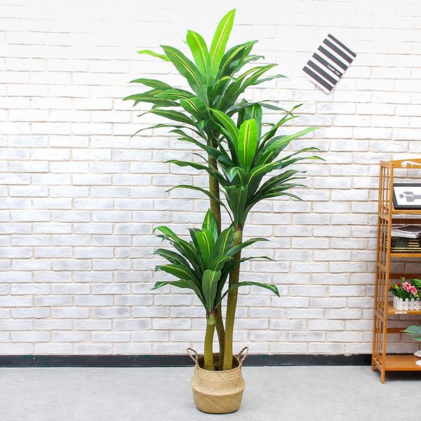 artificial bonsai trees 180cm iron brazilian wood trees indoor fake greenery artificial plants potted plants faux
artificial bonsai trees 180cm iron brazilian wood trees indoor fake greenery artificial plants potted plants faux