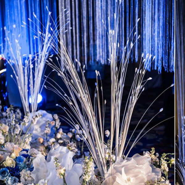 white artificial flower simulation peacock grass bouquet wedding party stage garden festival decoration props arrangement floral
white artificial flower simulation peacock grass bouquet wedding party stage garden festival decoration props arrangement floral