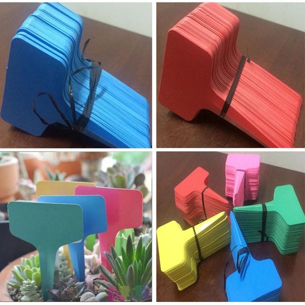 50 pcs new listing gardening label plastic insert plant labels ground inserting signs stereo tags floral t-labels
50 pcs new listing gardening label plastic insert plant labels ground inserting signs stereo tags floral t-labels
