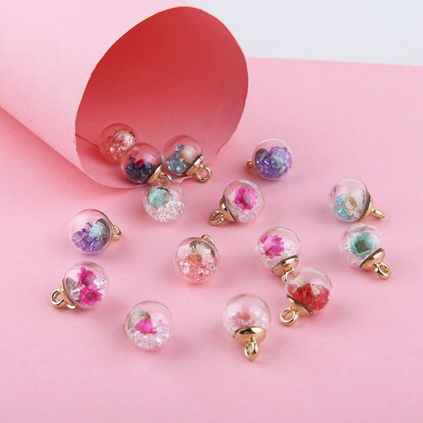 diy jewelry findings glass ball charms colorful dry flower seed beads decorated fashion earring necklace floating pendants 5pcs, Bronze;silver
diy jewelry findings glass ball charms colorful dry flower seed beads decorated fashion earring necklace floating pendants 5pcs, Bronze;silver
