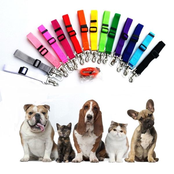 pet car seat belt cars adjustable stretch pet seat belt for dog with safe hook pet dog car safe leashes
pet car seat belt cars adjustable stretch pet seat belt for dog with safe hook pet dog car safe leashes