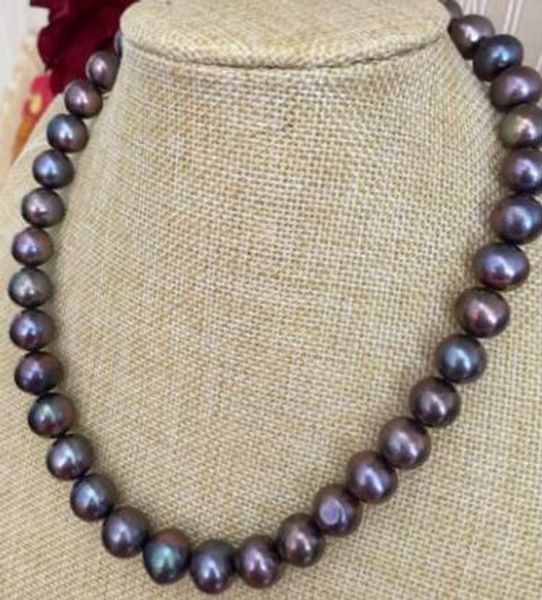 >>>> noble 11-12mm south sea black red green pearl necklace 14k, Silver
>>>> noble 11-12mm south sea black red green pearl necklace 14k, Silver
