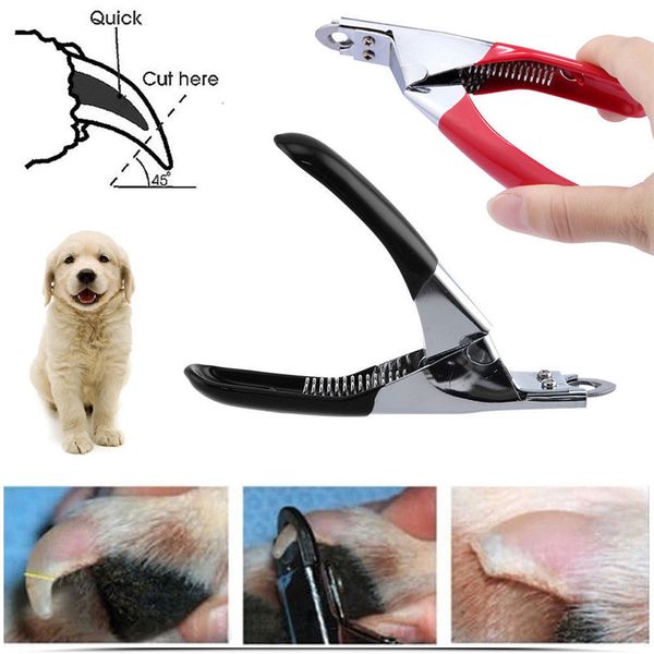 cat dog nail clipper cutter stainless steel professional pet grooming scissors clippers claw nail scissors with lock
cat dog nail clipper cutter stainless steel professional pet grooming scissors clippers claw nail scissors with lock