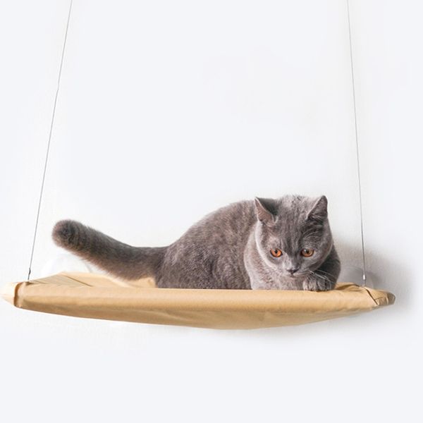 подвеска cat для подвешивания оконных вешалок позволяет кошкам загорать на солнце в гнезде на диване-кровати в гамаке для животных
подвеска cat для подвешивания оконных вешалок позволяет кошкам загорать на солнце в гнезде на диване-кровати в гамаке для животных