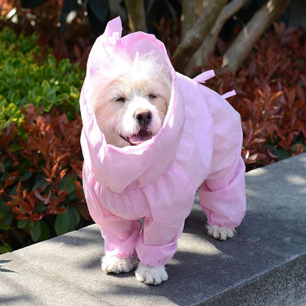 2020 new dhl pet protective clothing dog protective clothes for small and large dogs all sizes in stock fy4038
2020 new dhl pet protective clothing dog protective clothes for small and large dogs all sizes in stock fy4038