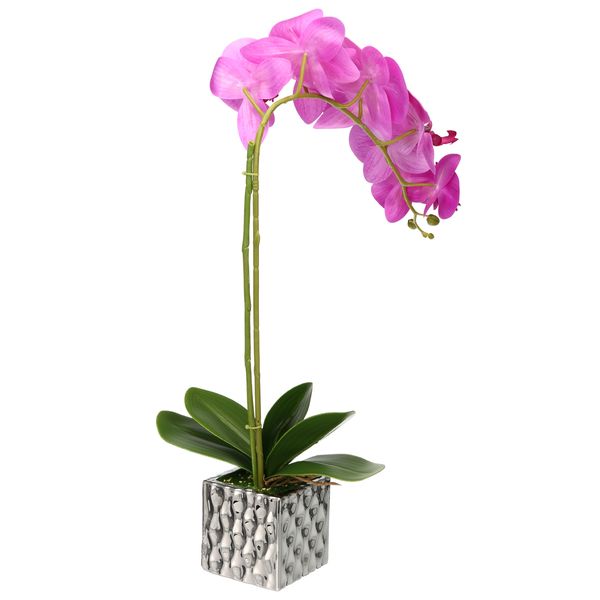 artificial butterfly orchid flowers potted plant wedding party home l decoration bonsai pot plants ornaments decor crafts
artificial butterfly orchid flowers potted plant wedding party home l decoration bonsai pot plants ornaments decor crafts