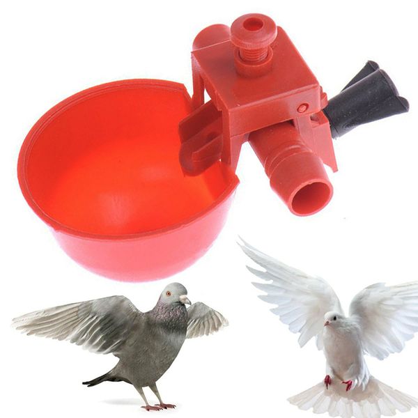 2styles chicken drinking cups quail waterer bowls bird red glass animal husbandry tools automatic bird coop feeder drinking cups
2styles chicken drinking cups quail waterer bowls bird red glass animal husbandry tools automatic bird coop feeder drinking cups