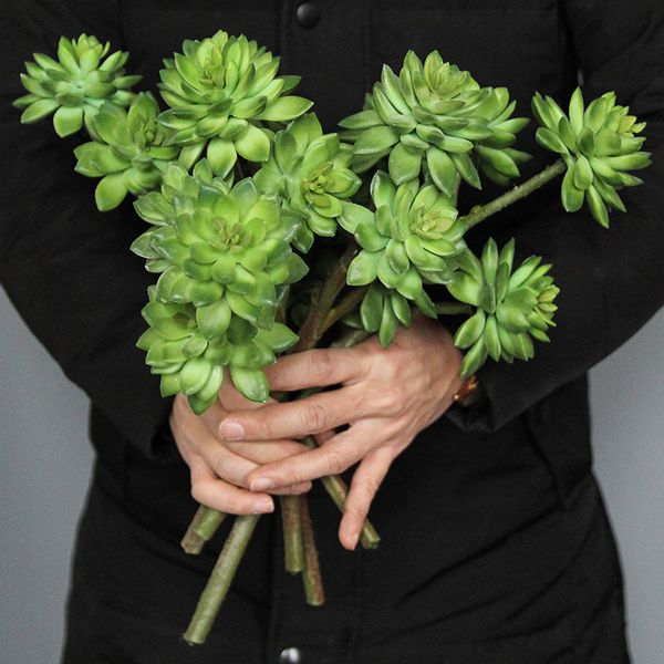 3 head artificial flower lotus succulent plants desert fake lotus plant wall landscape garden home decoration
3 head artificial flower lotus succulent plants desert fake lotus plant wall landscape garden home decoration